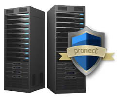 Web Hosting